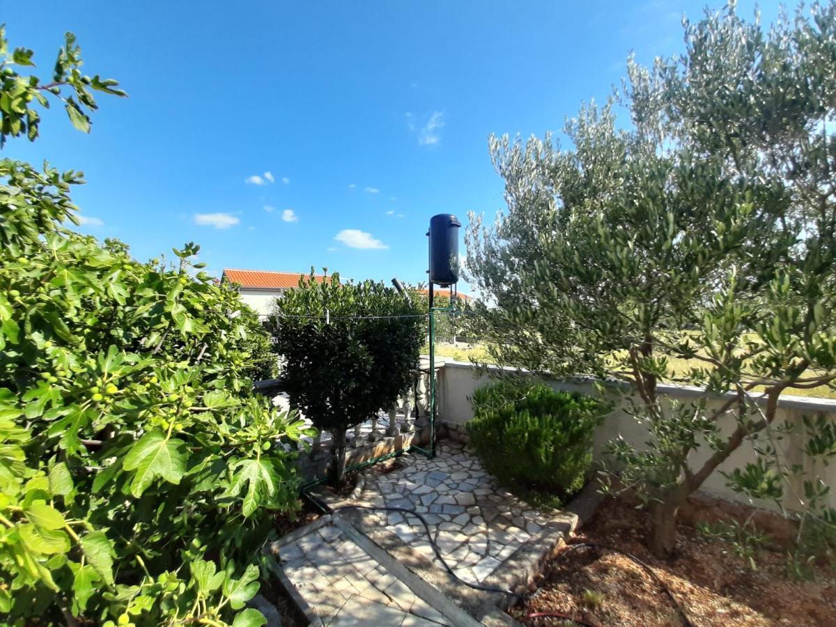 סלינה Apartman Pajo מראה חיצוני תמונה